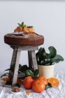 Nature morte pittoresque de coupe appétissante fraîche et gâteau savoureux frais à la mandarine entier sur petit tabouret en bois et plante verte en pot — Photo de stock