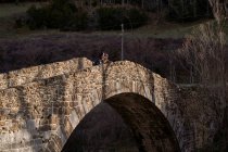 Mujer viajera con niño moviéndose a través del antiguo puente de arco al valle del bosque en un día brillante - foto de stock