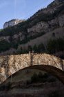 Wanderin mit Kind bewegt sich bei hellem Tag durch uralte Bogenbrücke ins Waldtal — Stockfoto
