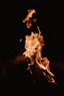 Gelbe Flammen steigen nachts aus Lagerfeuer auf Holzstücken in der Natur auf — Stockfoto