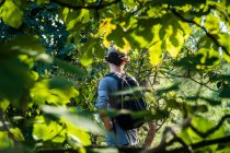 Back view of anonymous active tourist with black backpack moving on path between stones and forest grove — Stock Photo