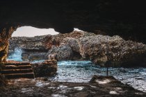 Маленький собака стоїть на скелі біля струмка і печери дивиться на камеру — стокове фото