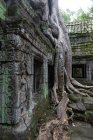 Paesaggio pittoresco di rovine di tempio antico — Foto stock