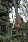 Paisagem cênica de templo hindu religioso destruído e árvores de Angkor Wat no Camboja — Fotografia de Stock