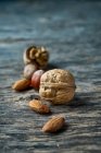 Brown ripe hazelnuts and walnuts at table — Stock Photo