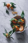 Mandarini arancioni in ceramica ciotola ornamentale sul tavolo di marmo — Foto stock
