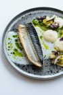 Dall'alto pezzo di pesce arrosto con salsa di crema gustosa ed erbe fresche poste sul piatto su sfondo bianco — Foto stock