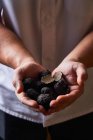 Cuisinier méconnaissable démontrant une poignée de truffes noires pour une préparation de plat exquise — Photo de stock