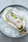 Köstliche Austern auf Eiswürfeln auf einer Schüssel vor weißem Hintergrund in einem Restaurant — Stockfoto