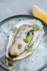 Limão em deliciosas ostras no cubo de gelo em uma tigela em um fundo branco em um restaurante — Fotografia de Stock