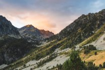Grüner Wald in felsigen Bergen hoch in den Wolken — Stockfoto