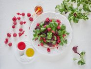 Fragrant aromatic raspberry and spinach in white plate with colorful sauce — Stock Photo