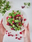 Assiette pour personne avec salade de framboises et épinards — Photo de stock