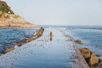 Chien rouge courant sur une jetée en pierre humide avec des vagues de mer sur une côte espagnole rocheuse avec un ciel clair en arrière-plan — Photo de stock