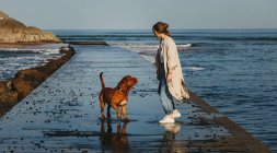 Side view of female in casual clothes and big brown Mastiff dog looking at each other while walking along wet wooden pier against calm bay water under blue sky in Spain — Stock Photo