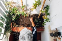 Vieille femme jardinage sur balcon — Photo de stock