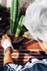Безликая садовница заботится о растениях в саду — стоковое фото