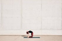 Trendy fit Frau in Sportbekleidung macht Yoga in Kamelpose auf Sportmatte allein auf der Straße gegen Betonwand bei sonnigem Tag — Stockfoto