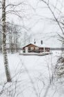 Tranquil winter landscape with rural wooden house located on snowy meadow among leafless forest in Swedish Lapland — Stock Photo