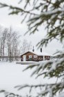 Rural house in snowy forest — Stock Photo