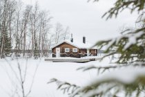 Maison rurale dans forêt enneigée — Photo de stock