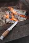 Охотничий нож с деревянной ручкой, расположенный рядом с ржавым металлическим камином с горящей древесиной — стоковое фото