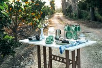 Пікнік з смачним десертом і ароматною кавою в саду — стокове фото