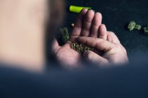 Dall'alto vista posteriore di un uomo senza volto che tiene in mano erba di marijuana mentre rotola smussato a casa — Foto stock