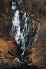 Vista pitoresca da cascata que cai no rio do penhasco entre plantas secas — Fotografia de Stock