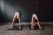 Fit barefoot unrecognizable women in sportswear concentrating and doing downward facing dog exercise on sports mats on wooden floor against white walls of spacious hall — Stock Photo