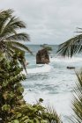Desde arriba de gran roca entre el mar azul ondulado cerca de la costa con plantas tropicales verdes durante el tiempo tormentoso - foto de stock