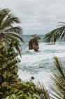 Зверху велика скеля серед блакитного хвилястого моря біля узбережжя з зеленими тропічними рослинами під час штормової погоди — стокове фото