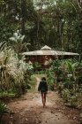 Вид ззаду самотня жінка, що йде по вузькому шляху між рядами зелених тропічних рослин з будинком під час відпустки — стокове фото