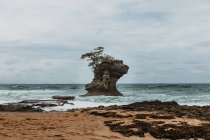 Großer Felsen zwischen blauem, welligem Meer in Strandnähe mit grünen tropischen Pflanzen bei stürmischem Wetter — Stockfoto