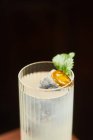 Водка і тонізуючий алкогольний коктейль у склянці з високим м'ячем, прикрашені листя льоду і м'яти на темному фоні — стокове фото