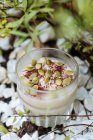 Сверху сливочный сладкий десерт с корицей и семенами в стеклянной чашке на украшенной поверхности — стоковое фото
