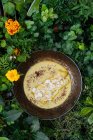 Vista superior de sabroso filete de pollo con champiñones en salsa de queso en un tazón rodeado de plantas y flores - foto de stock