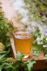 Сверху горячий здоровый травяной напиток с анисовой звездой в стеклянной чашке на деревянной поверхности в саду — стоковое фото