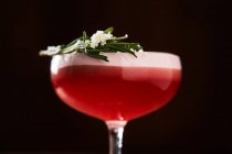 Perfekt servierter Clover Club Cocktail — Stockfoto
