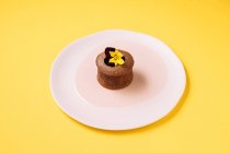 Шоколадный кекс с фруктовой начинкой — стоковое фото