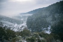 Von oben bunte Bäume am Hang des Hügels mit schneebedeckten Bergen und Himmel im Hintergrund — Stockfoto