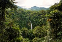 Potente corriente de agua que cae del acantilado verde en la selva increíble en el día nublado de verano en Costa Rica - foto de stock