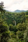 Мощный поток воды падает с зеленой скалы в удивительных джунглях в облачный летний день в Коста-Рике — стоковое фото