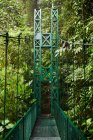 Узкий металлический мост выход возле зеленых кустов и деревьев в джунглях в Коста-Рике — стоковое фото