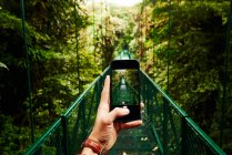 Необізнаний подорожній, користуючись смартфоном, сфотографує міст, який проходить крізь зелені джунглі під час подорожі в Коста - Риці. — стокове фото