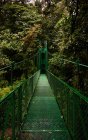 Узкий металлический мост выход возле зеленых кустов и деревьев в джунглях в Коста-Рике — стоковое фото