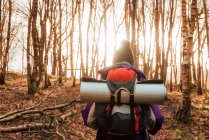 Vue arrière du randonneur anonyme en vêtements chauds marchant à travers la forêt d'automne pendant la journée — Photo de stock
