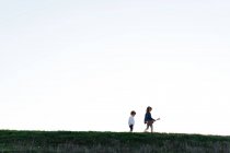 Desde abajo vista lateral de la niña con la guitarra seguido por el hermano menor caminando en el campo verde en la noche de verano en el campo - foto de stock