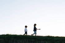 Знизу вид на маленьку дівчинку з гітарою, а потім молодший брат ходить у зеленому полі в літній вечір у сільській місцевості — стокове фото