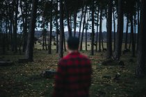 Vista posterior del hombre borroso irreconocible en ropa casual de pie entre árboles de coníferas de hoja perenne en el campo de otoño - foto de stock